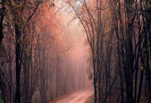 乐鱼体育:拉什福德腹股溝受傷 或缺席曼聯未來數周比賽.