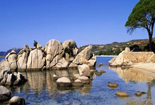 乐鱼体育：[JR热议]止步四强，今天这个系列赛你觉得BLG方谁是SVP？46亮282回复.